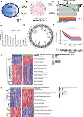Modification of m5C regulators in sarcoma can guide different immune infiltrations as well as immunotherapy
